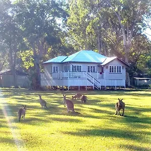 Weyba Noosa & Kangaroos Lodge
